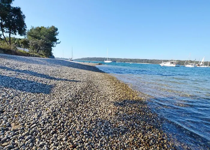 House Tiny House Feriehus