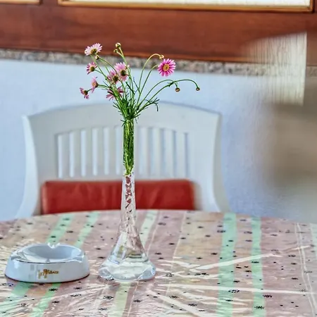 House Tiny House Prázdninový dům *